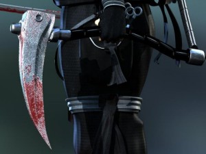 ninja 3D Model