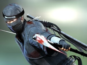 ninja 3D Model