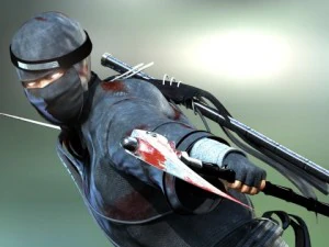 ninja 3D Model
