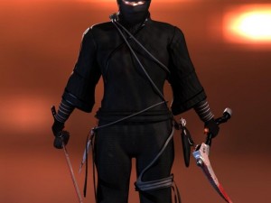 ninja 3D Model