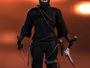 ninja 3D Model