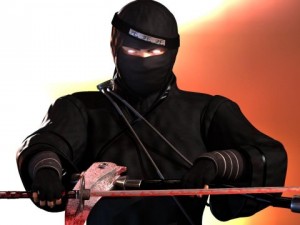 ninja 3D Model