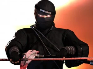 ninja 3D Model