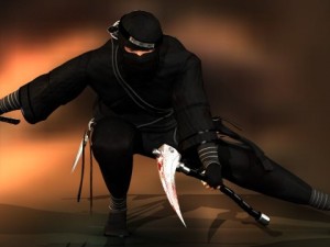 ninja 3D Model