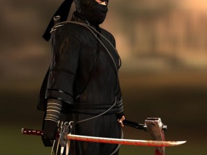 ninja 3D Model