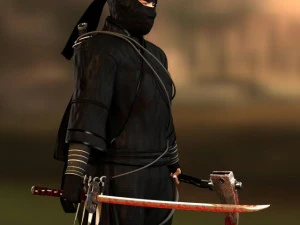ninja 3D Model