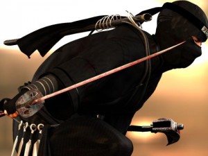 ninja 3D Model