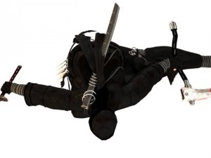 ninja 3D Model