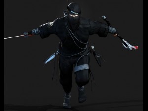ninja 3D Model