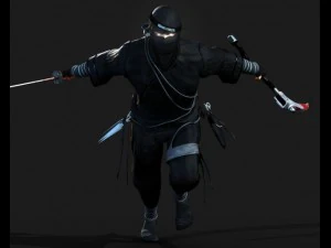 ninja 3D Model