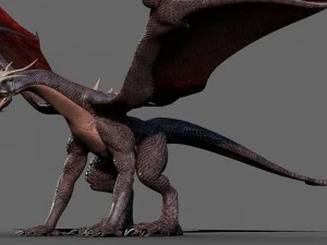battle dragon 3D Model