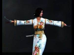 tetsume 3D Model