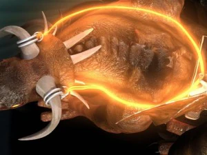 land dragon 3D Model