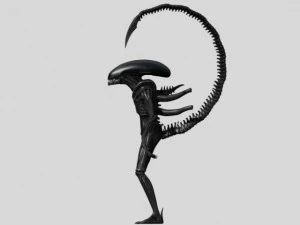 xenomorph alien drone 3D Model