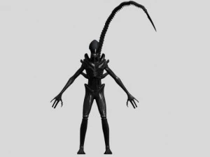 xenomorph alien drone 3D Model