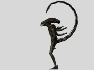 xenomorph alien warrior Modello 3D