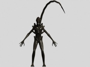 xenomorph alien warrior Modello 3D
