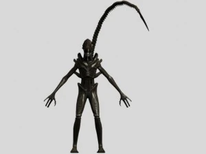 xenomorph alien warrior 3D Model