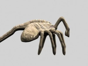 rigged alien xenomorph facehugger egg 3D Model