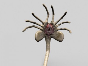 rigged alien xenomorph facehugger egg 3D Модель
