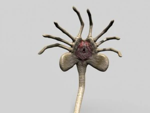 rigged alien xenomorph facehugger egg 3D Model