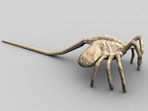 rigged alien xenomorph facehugger egg 3D Модель