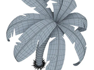 palm tree v 1 3D Model