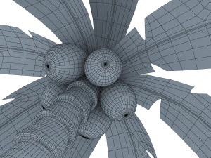 palm tree v 1 3D Model