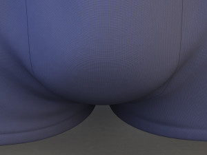 boxer briefs Modelo 3D
