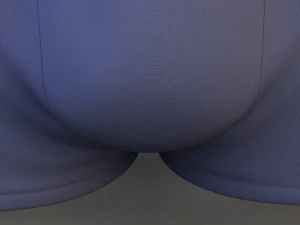 boxer briefs 3D Model