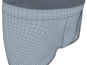 boxer briefs Modelo 3D