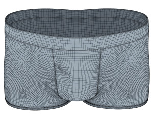 boxer briefs Modelo 3D