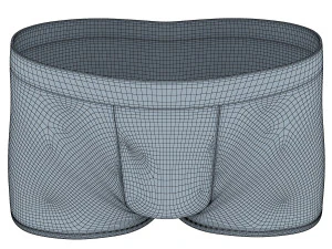 boxer briefs 3D Model