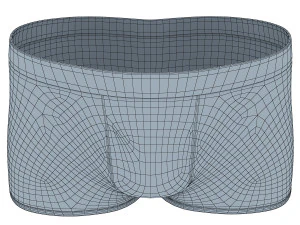 boxer briefs 3D Model