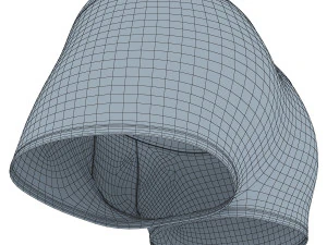 boxer briefs 3D Model