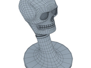 skull 3D 모델