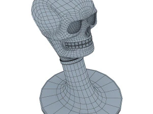 skull 3D Model