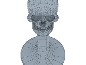 skull 3D 모델