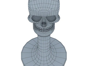 skull 3D Model