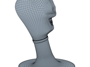 skull 3D 모델