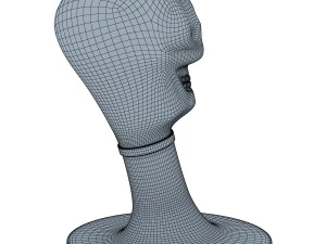 skull 3D Model