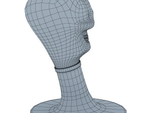 skull 3D 모델