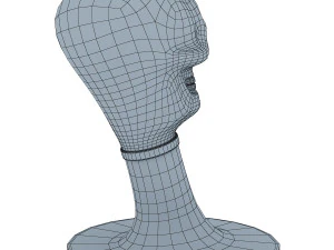 skull 3D Model