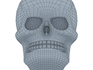 skull 3D 모델