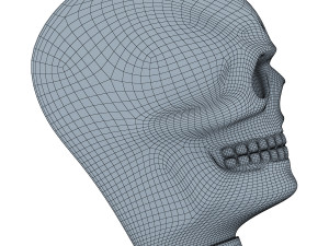 skull 3D 모델