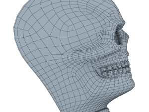 skull 3D 모델