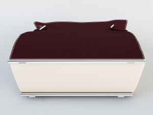 charlotte bag Model 3D