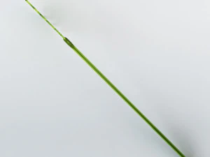 scacciamosche Modello 3D