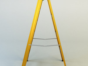 ladder 3D Model