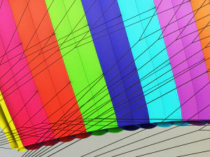 paraglider v 1 3D Model